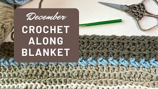 December TEMPERATURE BLANKET Stitch of the Month The Single Crochet Cross Stitch [upl. by Mailli490]