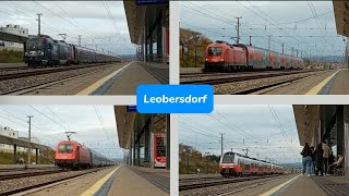 Züge Bahnhof Leobersdorf ● 02 11 2024 [upl. by Danelle]