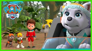 PAW Patrol Pups Make an Air Rescue w Chase amp Zuma  Nick Jr [upl. by Cornelle466]