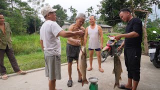 Thăm nhà ông Viên  2 ông xuống ao kéo cá to bán​ [upl. by Trillbee]