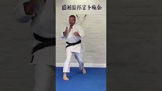 Mastering Kumite A Kaeshi Ippon Kumite Exercise [upl. by Nuahsar]