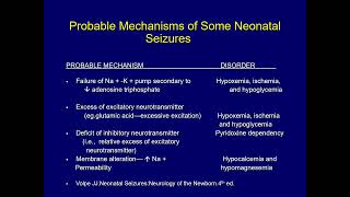 Neonatal Seizures DrAmjad Tarawneh Lecture Mutah University [upl. by Kylynn]