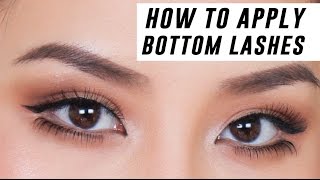 How to Apply Lower Lashes for Beginners  Tina Yong [upl. by Bluefarb]