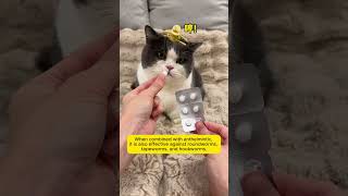 Deworm your pet in one minute🔥🔥puainta petcare cat pethealthdeworm cutecat petwellness [upl. by Anahoj]