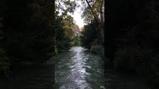 Das Alles ist Deutschland  Schwimmen  Surfen im Englischen Garten ytshorts musik [upl. by Atsirt]