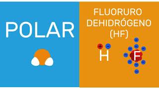 Química Moléculas polares y no polares [upl. by Seabrook]