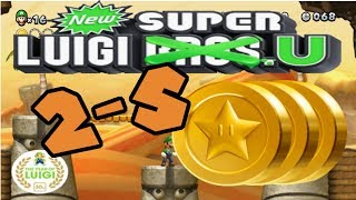 New Super Luigi U Layer Cake DesertSECRET LEVEL Slippery Rope Ladders All Star Coins [upl. by Isobel]