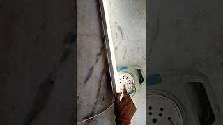 LED Tube Light Making 🤓 ledtubelight ledlighting repairing experiment trending diy [upl. by Rebmyk929]