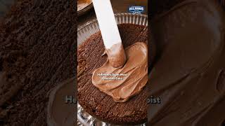 Hellmanns Mayonnaise Chocolate Cake Recipe [upl. by Anailuj]