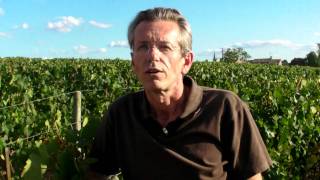 Alain Moueix Château Fonroque St Emilion Grand cru classé [upl. by Deedee505]