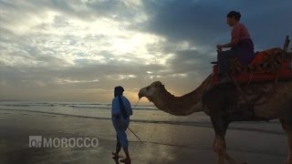 CNN On Morocco Trailer [upl. by Surad]