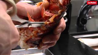 Le homard en pince pour les topinambours [upl. by Jerroll341]