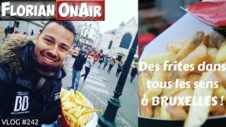 Des FRITES partout à BRUXELLES  VLOG 242 [upl. by Ettezzil]