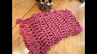 Crochet Scarf  Beginner  Super Fast and Easy [upl. by Ullund]