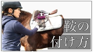 【鞍の付け方】乗馬初心者馬装馬具乗馬 [upl. by Burrell]