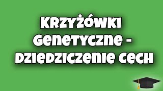 Krzyżówki Genetyczne  Dziedziczenie Cech  Biologia klasa 8 [upl. by Kyte]