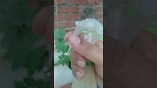 Bottle Gourd Tomato Sponge Gourd Leaf Miners Control By Neem Oil [upl. by Delcina289]