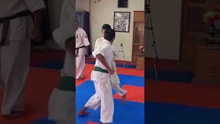 Power of Gedan Mawashi Geri  lowkickchampionship karate power kyokushin [upl. by Zolly394]