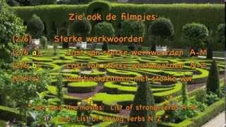 Dutch verbs 26 c Example sentences with strong verbs [upl. by Nnylimaj]