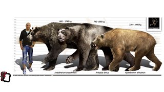 Arctotherium angustidens Arctodus simus and Agriotherium africanum size comparison [upl. by Ybeloc]