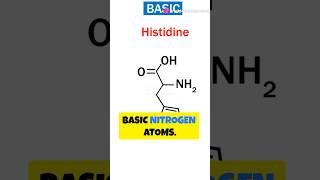 True alkaloids Proto alkaloids Pseudo alkaloids shorts alkaloids pharmacognocy pharmacy study [upl. by Elrebma]