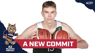 Tommy Lloyd secured a new international big man addition for Arizona basketball in Motiejus Krivas [upl. by Ellicul]