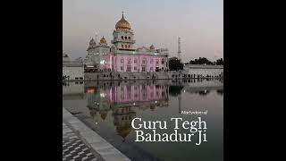 2024 Martyrdom of Guru Tegh Bahadur Ji [upl. by Fernandina]