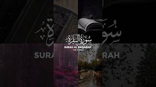 SURAH AL BAQARAH ✨ URDU TRANSLATION youtubeshorts shorts trendingvideo pakistan quran islam [upl. by Teryn]