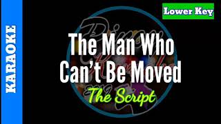 The Man Who Cant Be Moved by The Script  Karaoke  Lower Key [upl. by Ateuqram]