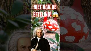 MUZIEK PADDENSTOELEN NIET VAN DE EFTELING 😱  efteling sprookjesbos sebastianbach shorts [upl. by Marianna]