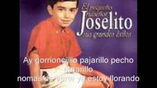 gorrioncillo joselito [upl. by Whallon562]