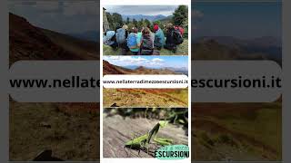 Esperienze escursionistiche trekking hiking mountains trail travel natura nature viaggiare [upl. by Amein]