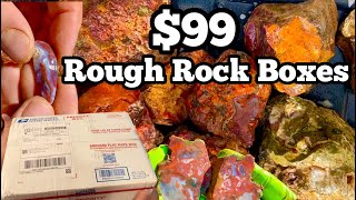 99 Rough Rock Boxes While Supplies Last💎 Unboxing Cutting Cabbing [upl. by Ainirtac]