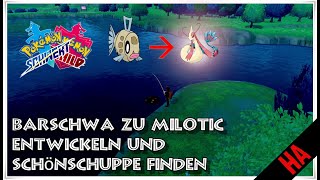 POKéMON SCHWERT UND SCHILD  SCHÖNSCHUPPE FINDEN UND BARSCHWA FANGEN UND ENTWICKELN [upl. by Aeniah856]