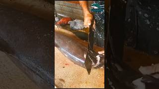 Amazing 😲  Escolar fish cutting escolar escolarfishing fishmarket fishcutting bigfishcutting [upl. by Assir]