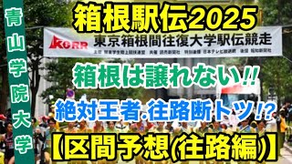 最強世代‼︎【青山学院大学】区間予想〜往路編〜【箱根駅伝2024】 [upl. by Aloz603]