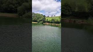 New barn fishery paignton [upl. by Ylehsa]