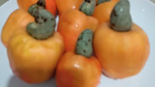 Slicing peeling fruits cajudocedecaju asmr [upl. by Parlin880]