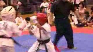 Shidokan Junior All Japan 2007 第２４回全国少年少女空手道大会 [upl. by Ahsaet601]