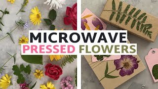 Learn How to Press FlowersIn the Microwave  How to Press Flowers [upl. by Jose]