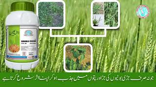 solex weedicides weedicides in Punjab Solex cutout Solex double clean Solex sulfosulfurone [upl. by Thecla]