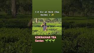 Baganiya Songs  KOKRAJHAR Tea Garden🌱🌱baganiyasongs AalBaalVideo [upl. by Juliano]