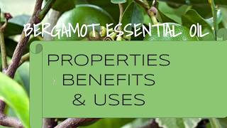 Bergamot Essential Oil  Benefits amp Uses [upl. by Lela]