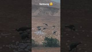 Power of Samsung galaxy S20 camera zoom test 😯🔥 samsung shorts viral [upl. by Vaenfila]