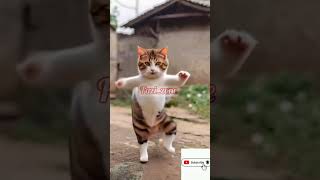 Cat fantastic dance 🤩trendingshorts shortsviral catlover [upl. by Ytnom361]