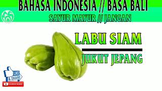 Macam  macam nama dan jenis sayur mayur  jangan jukutjukutan [upl. by Nylidnam]