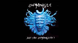 Shpongle  Divine Moments Of Truth HQ [upl. by Tserrof158]