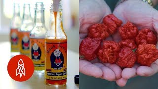 Spice up Your Life With The Carolina Reaper And Other Hot Stories [upl. by Nahgaem]