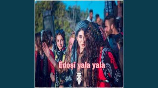 Kurdish halayêdoşi yala [upl. by Yrebmik]