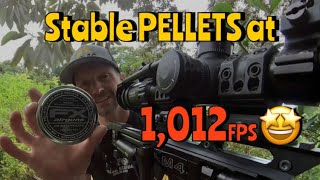 RangeVLOG  We Did It Cheap Pellets at Slug Speed amp Performance [upl. by Terraj]